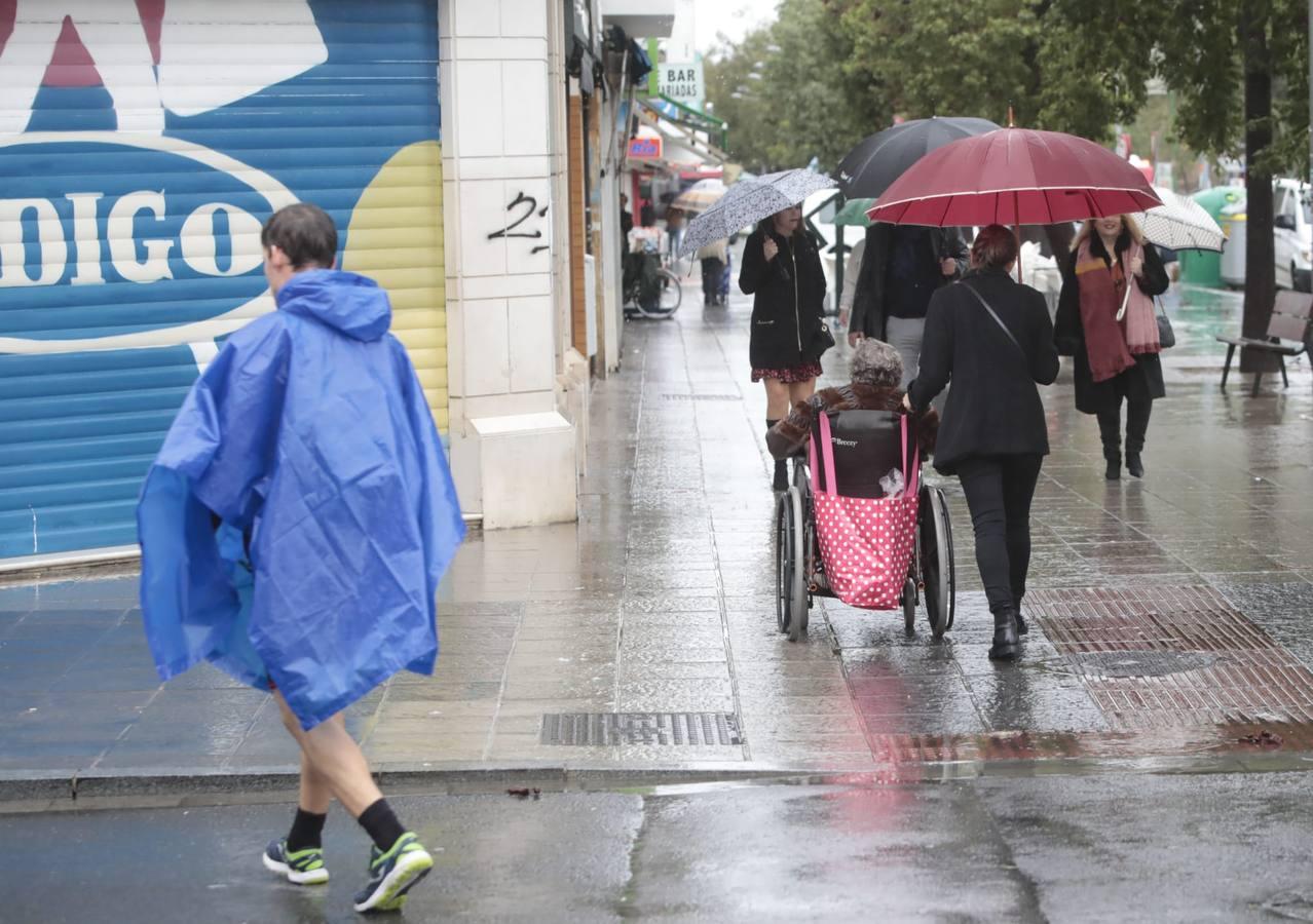 En imágenes, la lluvia del viernes en Sevilla