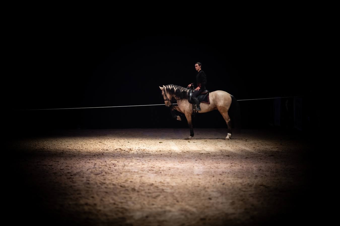 Concurrida jornada de sábado en el Sicab