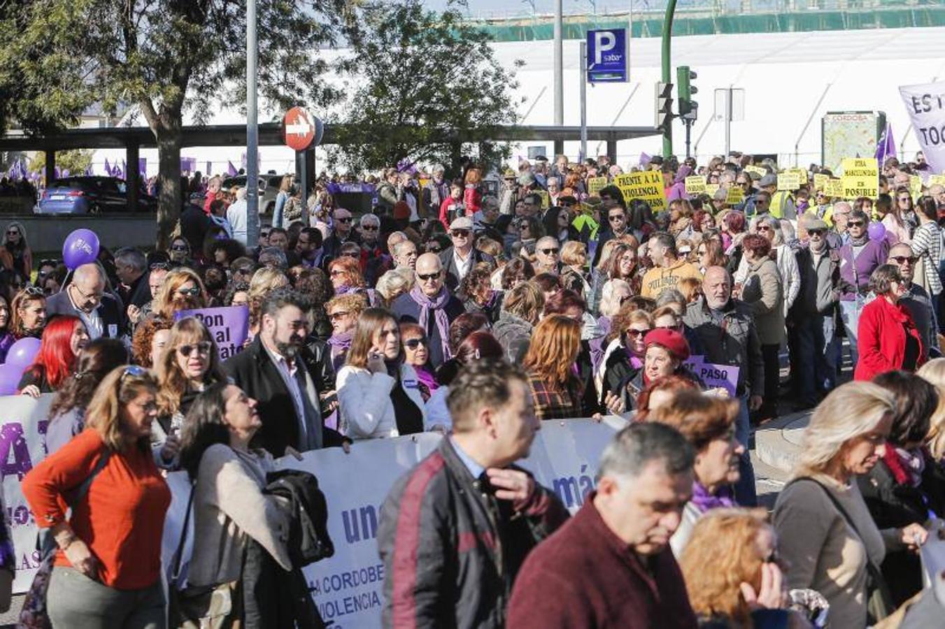 La manifestación contra la violencia hacia las mujeres de Córdoba, en imágenes