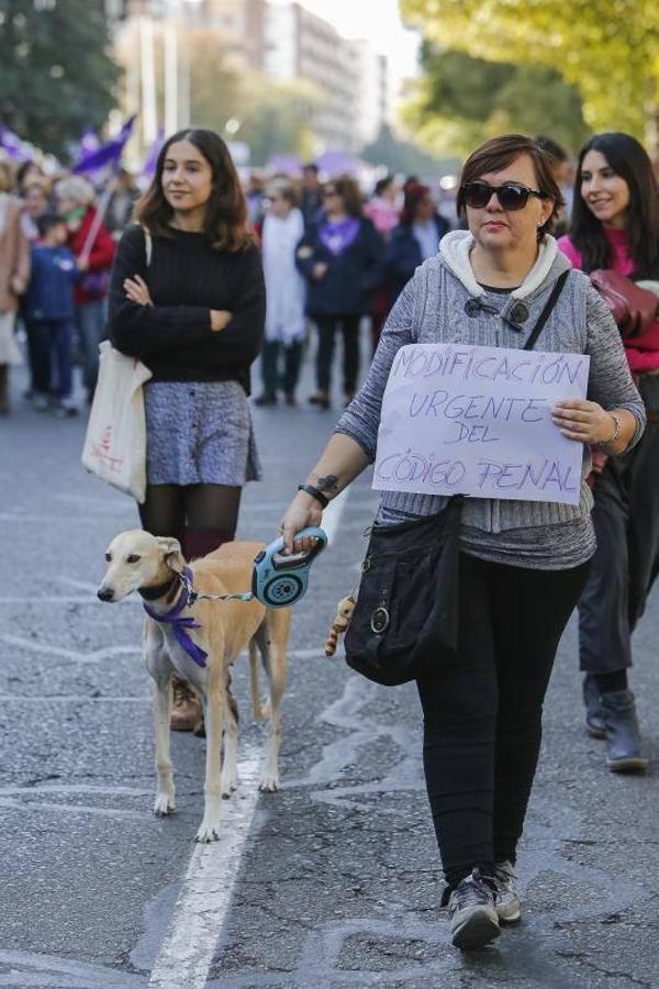 La manifestación contra la violencia hacia las mujeres de Córdoba, en imágenes