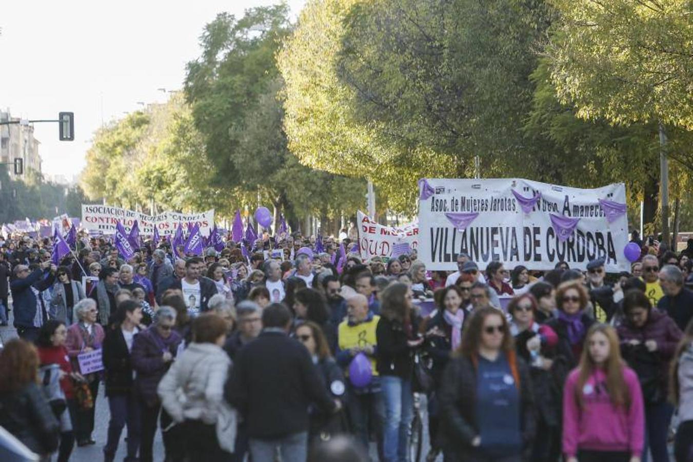 La manifestación contra la violencia hacia las mujeres de Córdoba, en imágenes