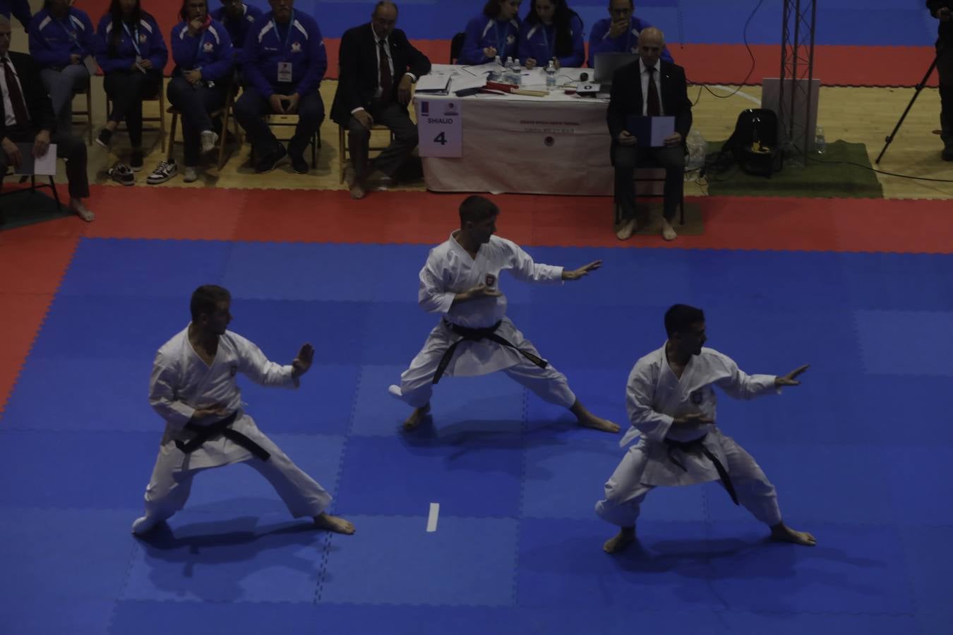 Campeonato de Europa de Karate-do en San Fernando