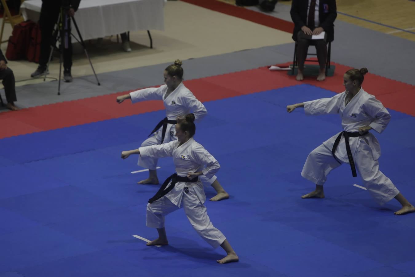 Campeonato de Europa de Karate-do en San Fernando