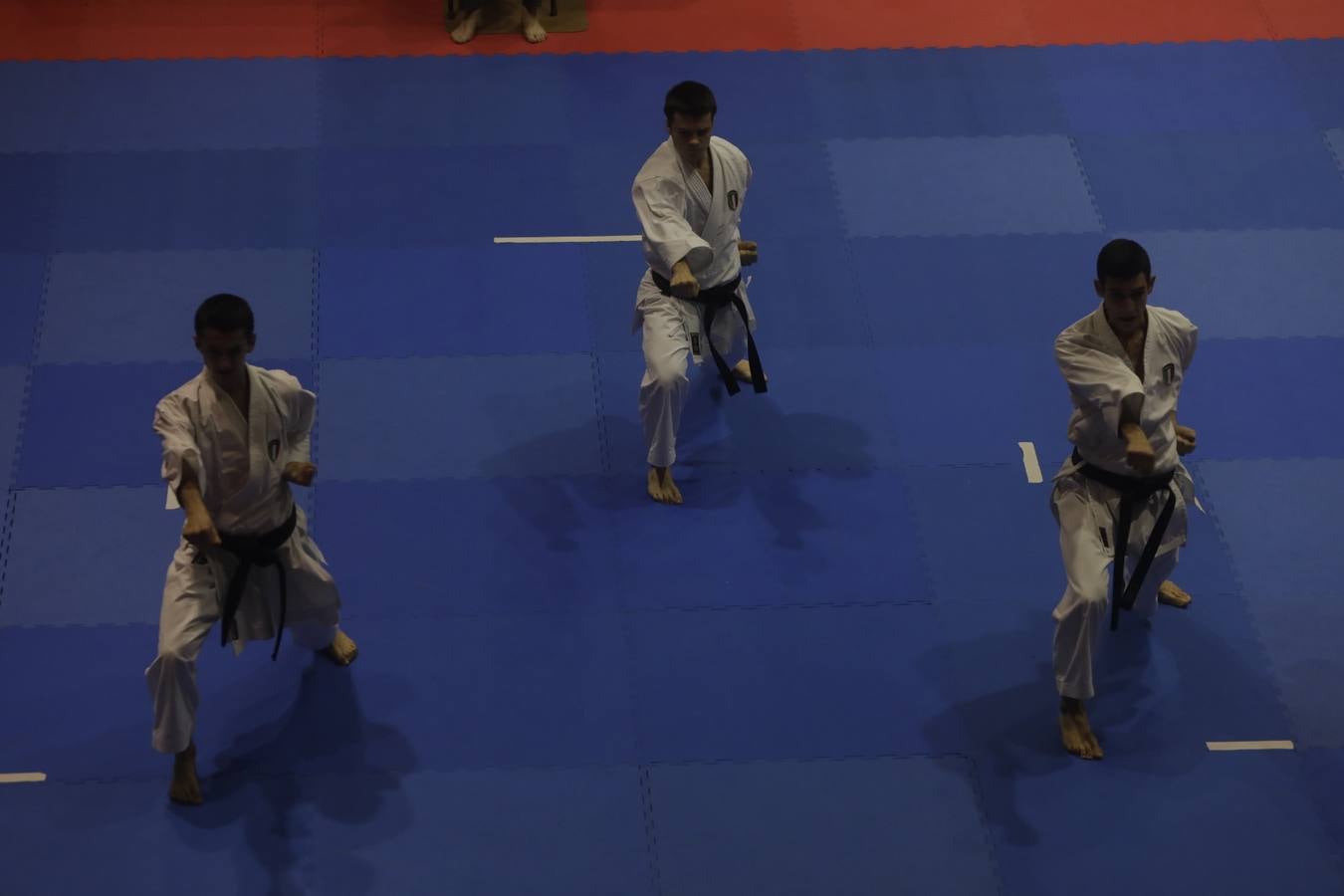 Campeonato de Europa de Karate-do en San Fernando