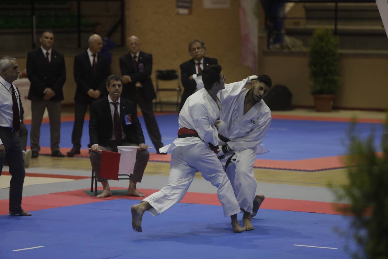 Campeonato de Europa de Karate-do en San Fernando