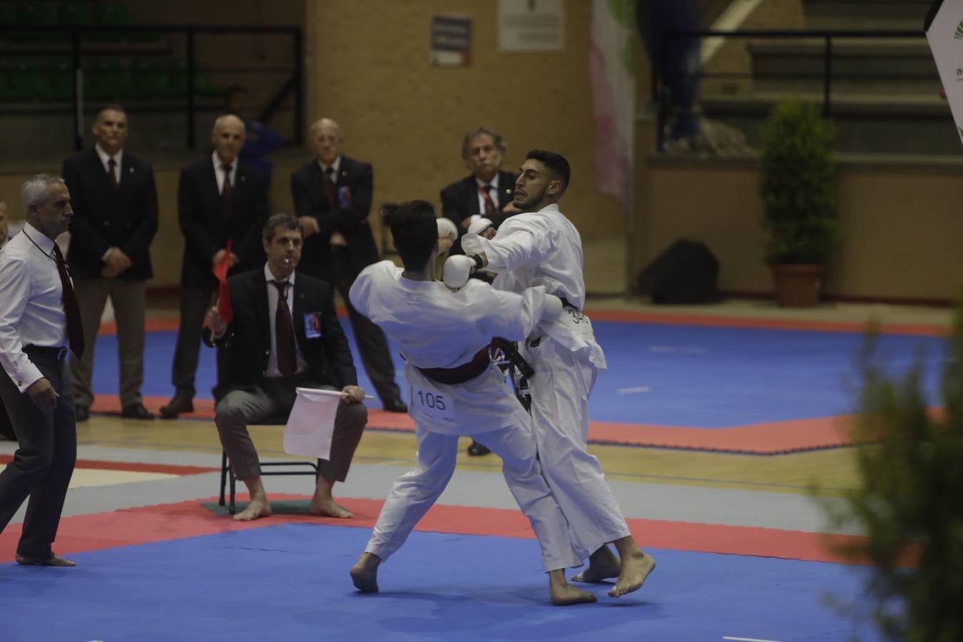 Campeonato de Europa de Karate-do en San Fernando