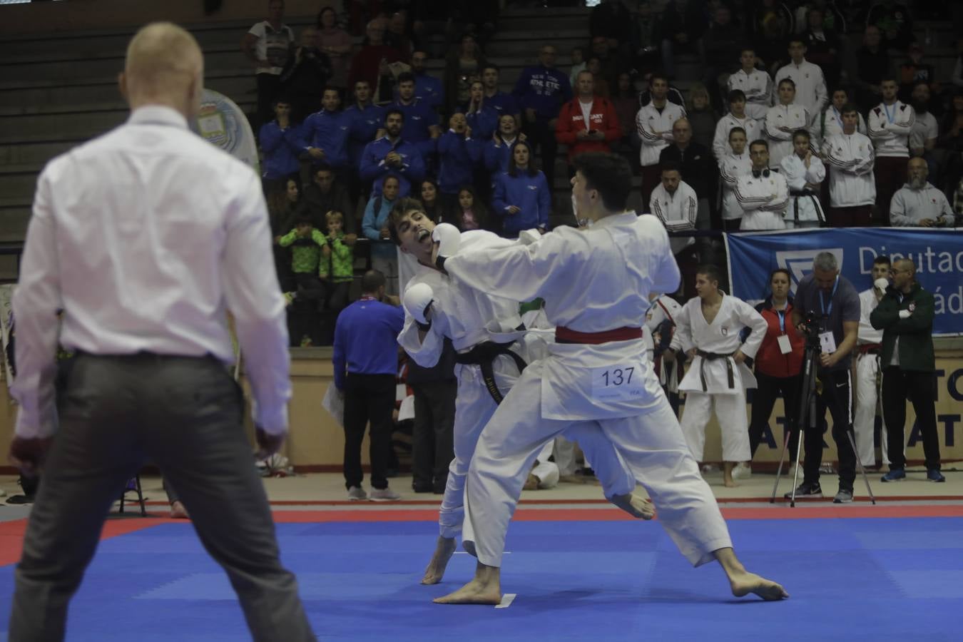 Campeonato de Europa de Karate-do en San Fernando