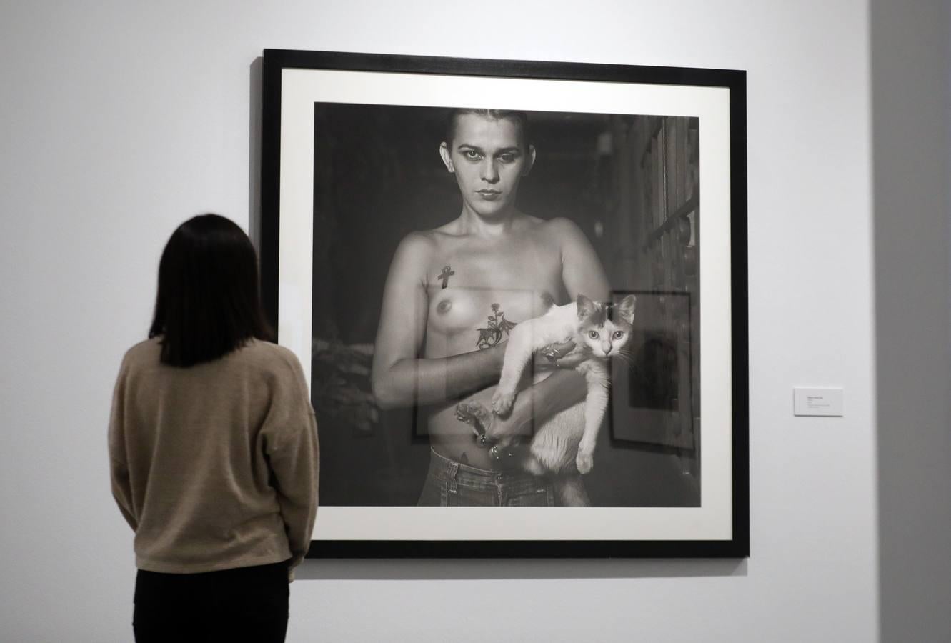 La colección de fotografía de Pilar Citoler, en imágenes