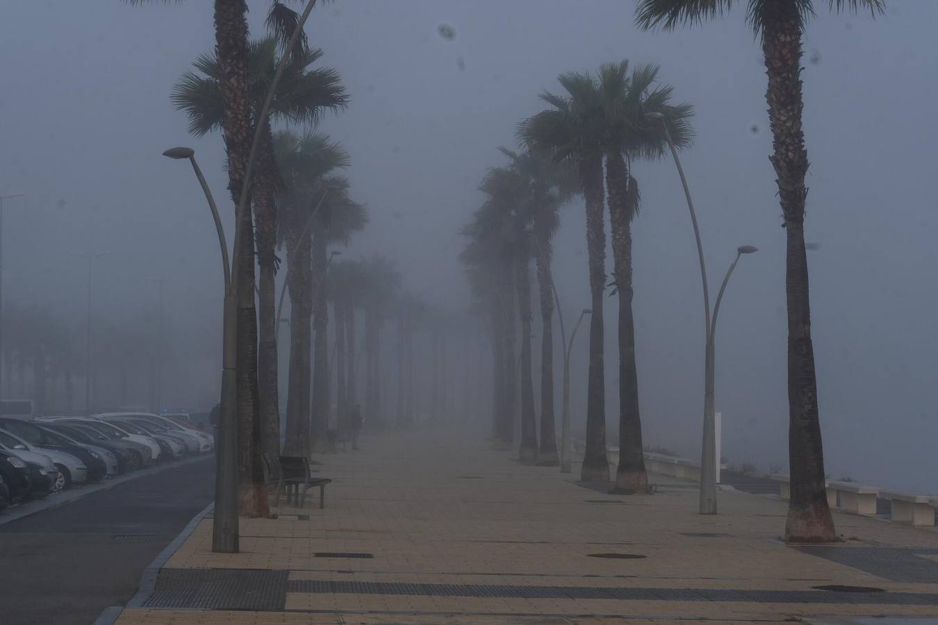 La magia de Cádiz, envuelta en la niebla