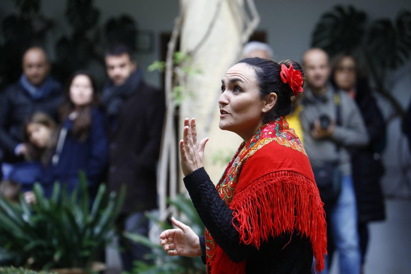 Las imágenes de la Navidad de Córdoba en Viana