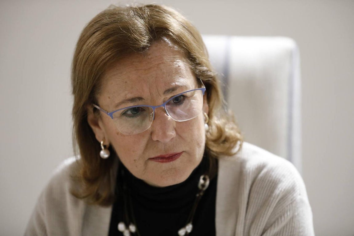 El foro organizado por ABC Córdoba sobre el Casco, en imágenes