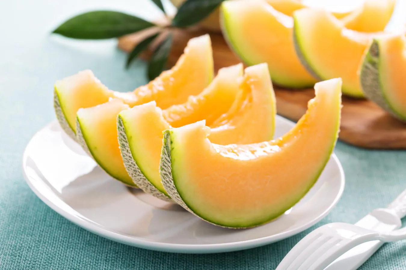 El melón cantalupo, el tipo de melón con más vitamina C. La variedad cantalupo resulta apreciada por su aroma y sabor. Su pulpa de color anaranjado es rica en betacaroteno (provitamina A), ya que 100 gramos aporta la tercera parte de las necesidades diarias. Contiene más vitamina C que otros melones: unos 37 mg por cada 100 gramos.