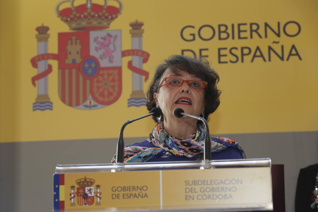 La celebración del Día de la Constitución en Córdoba, en imágenes