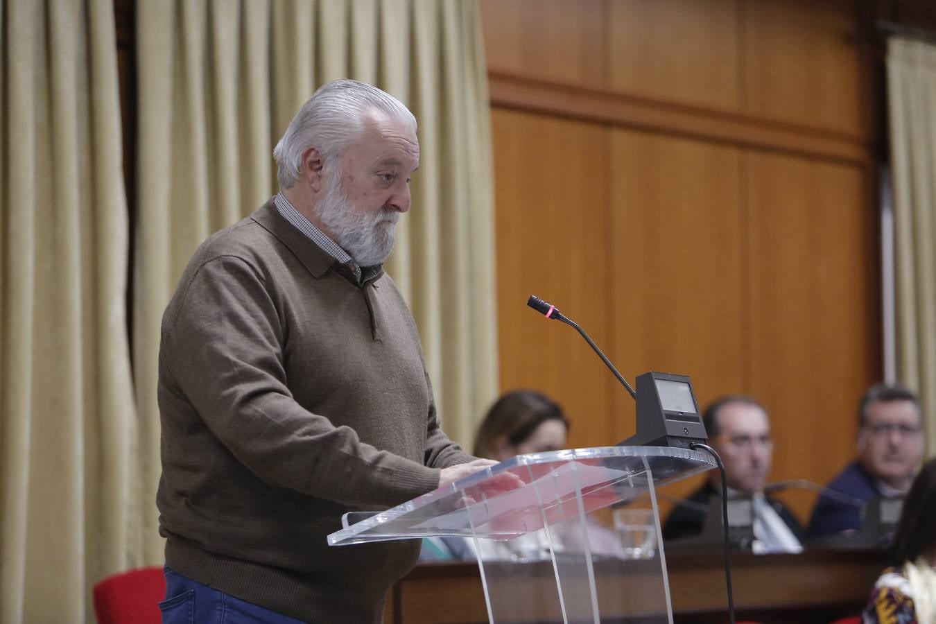 El Pleno del Ayuntamiento de Córdoba, en imágenes