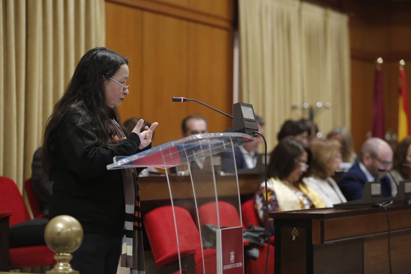 El Pleno del Ayuntamiento de Córdoba, en imágenes