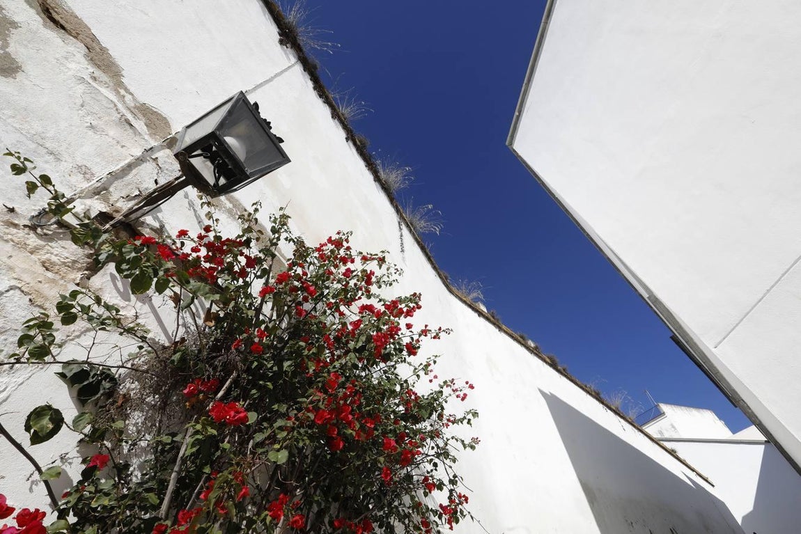 La Cuesta de Pero Mato de Córdoba, en imágenes