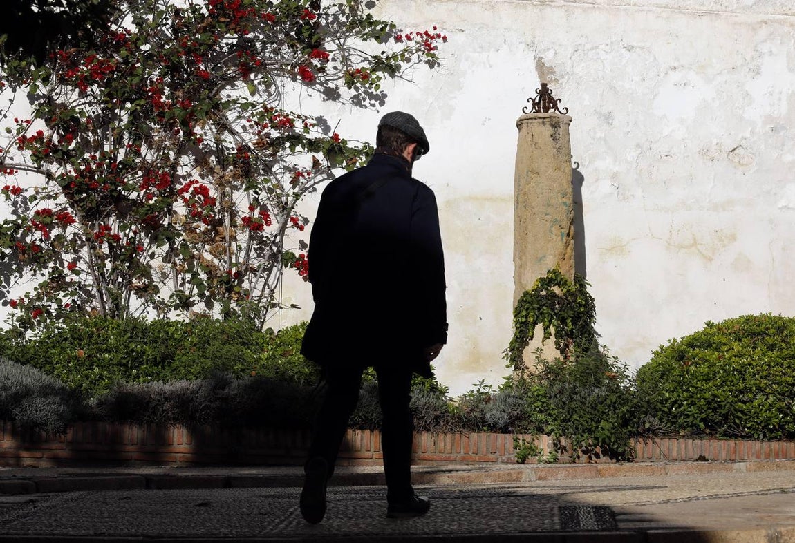 La Cuesta de Pero Mato de Córdoba, en imágenes