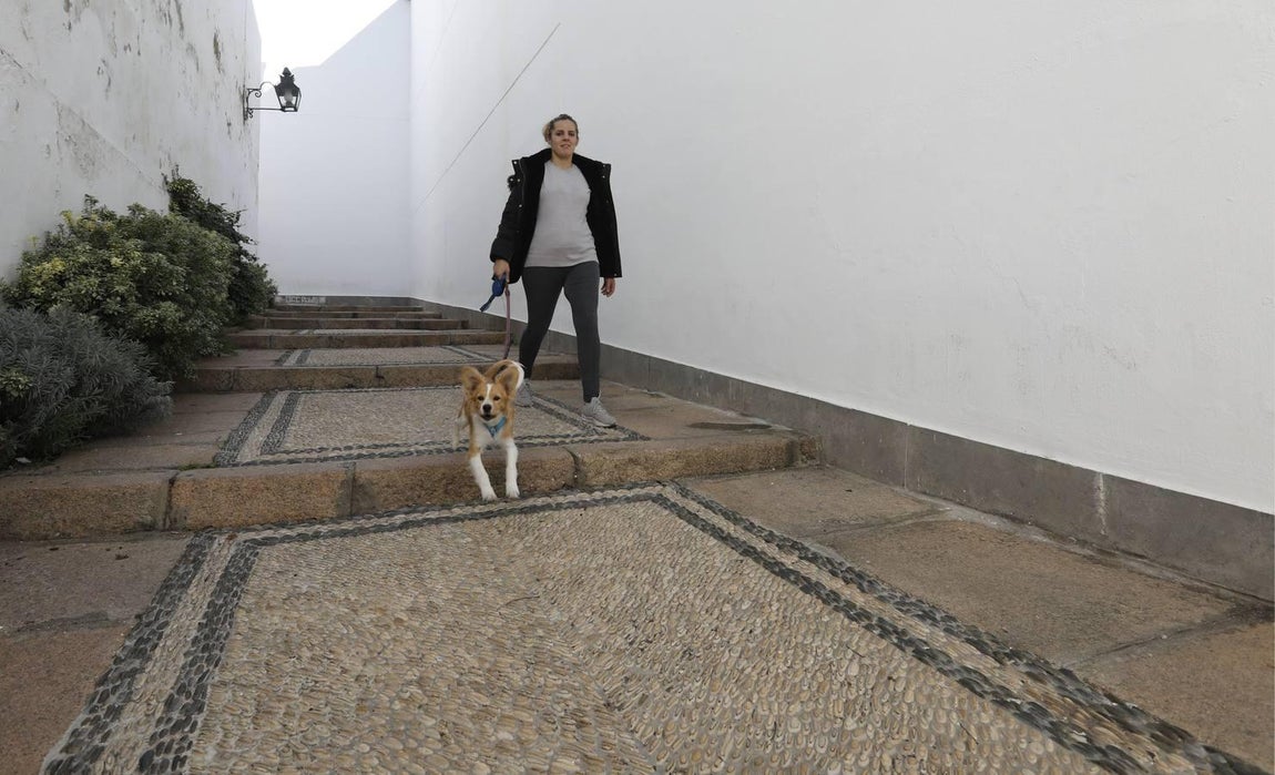 La Cuesta de Pero Mato de Córdoba, en imágenes