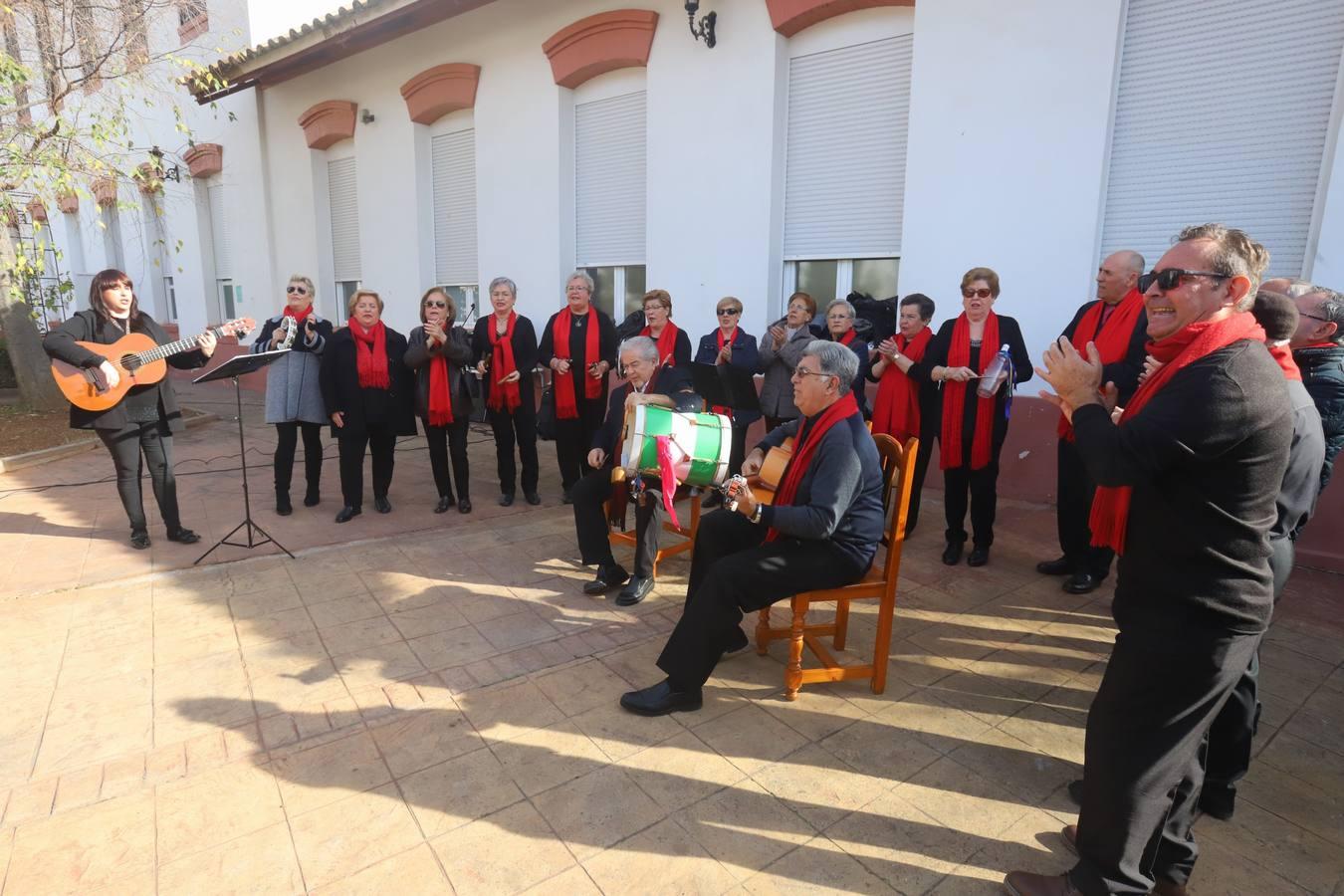 Las tradicionales migas de los hermanos de la Cruz Blanca en Córdoba, en imágenes