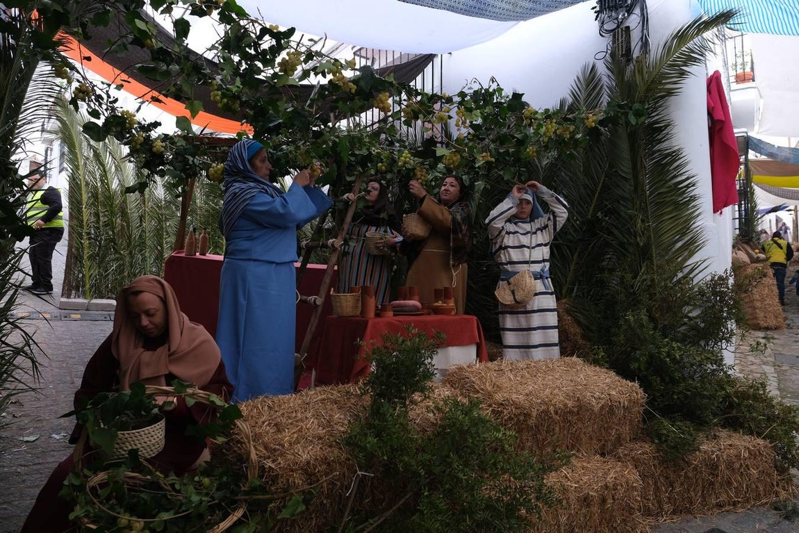 Fotos: Así es el Belén Viviente de Medina Sidonia