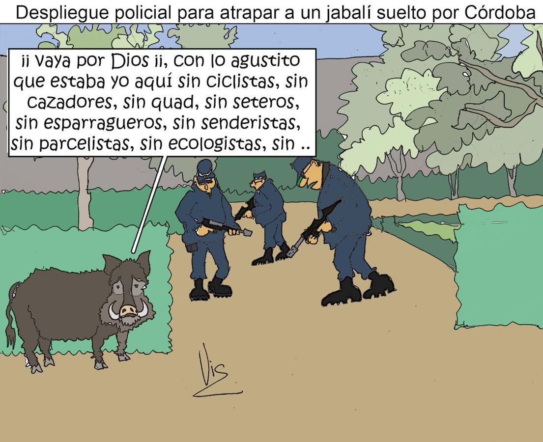 Así fue 2019 en Córdoba desde la mirada de VIC (parte II)