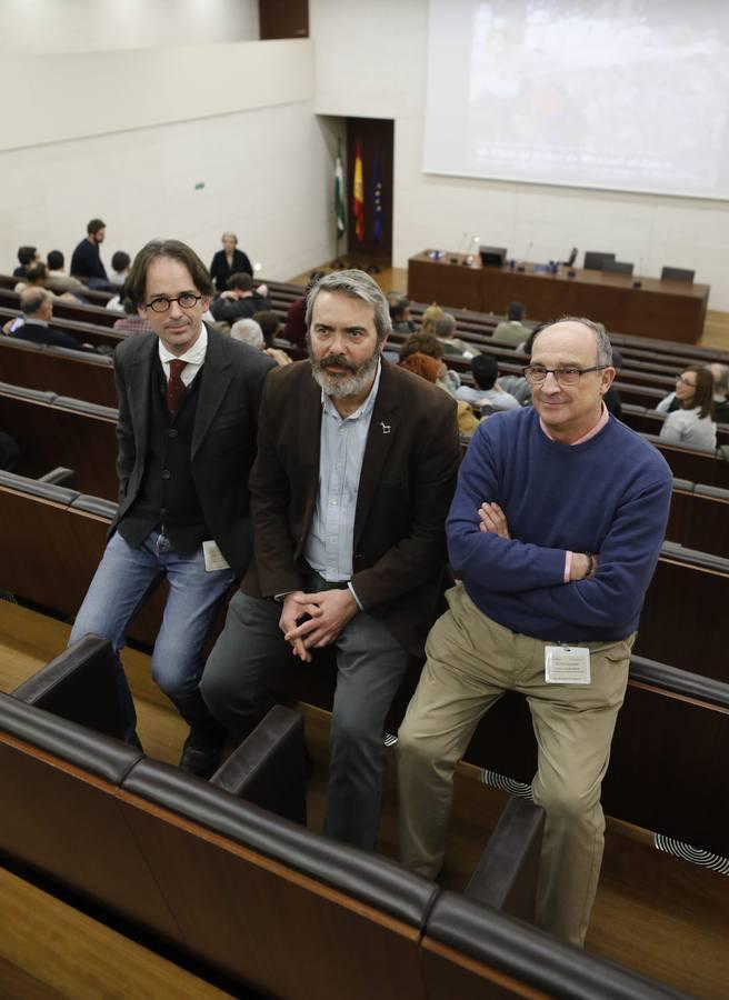 La presentación de los últimos hallazgos de la investigación en Medina Azahara, en imágenes