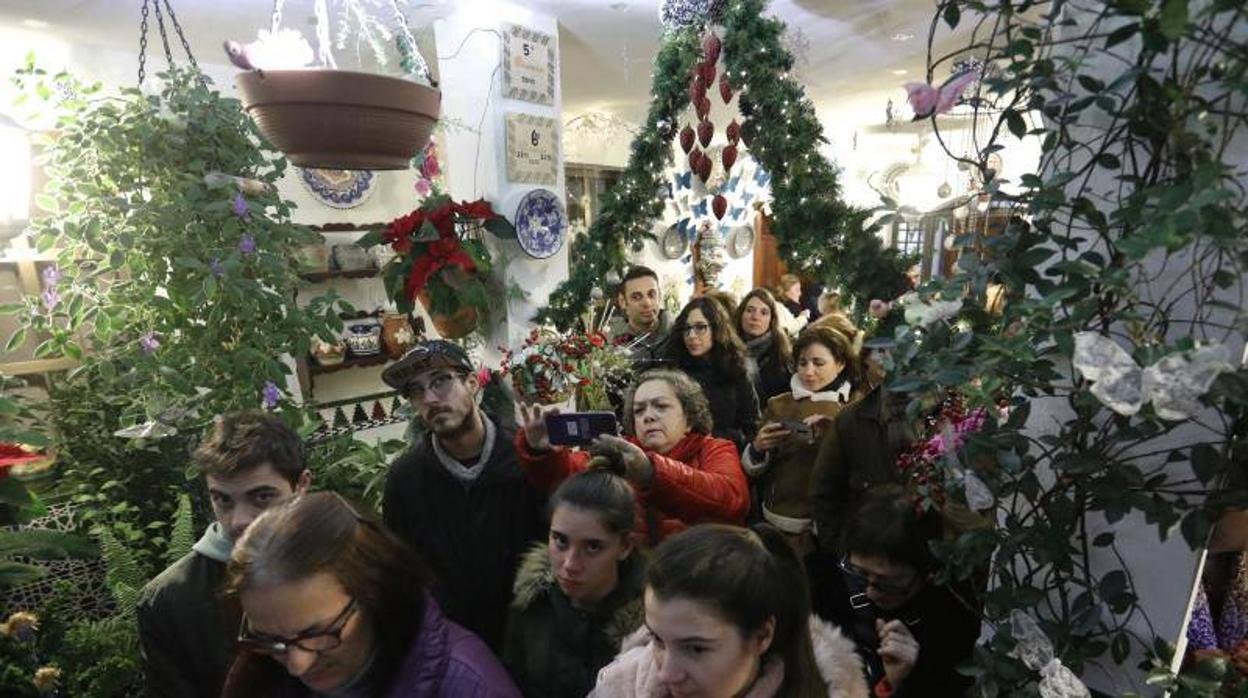 La primera ruta de los Patios de Córdoba en Navidad, en imágenes