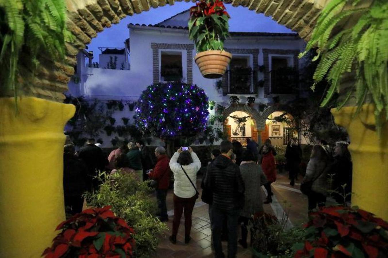 La primera ruta de los Patios de Córdoba en Navidad, en imágenes