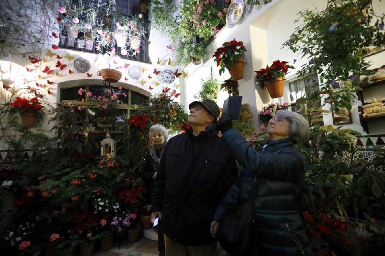 La primera ruta de los Patios de Córdoba en Navidad, en imágenes