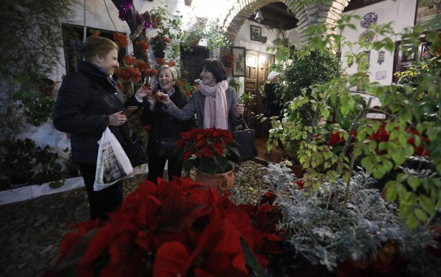 La primera ruta de los Patios de Córdoba en Navidad, en imágenes