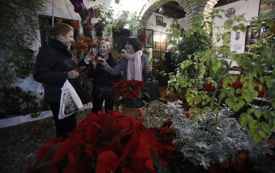 La primera ruta de los Patios de Córdoba en Navidad, en imágenes