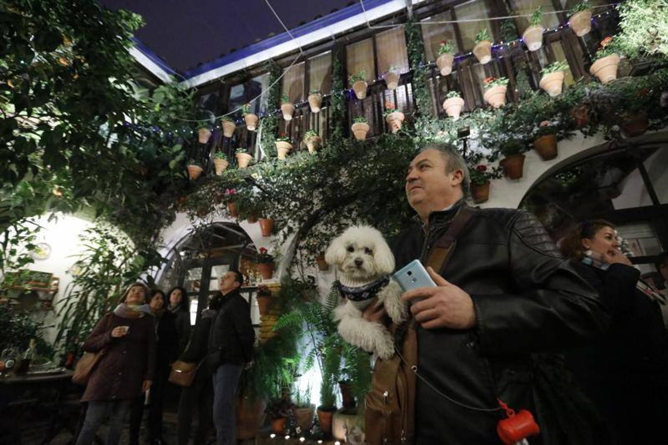 La primera ruta de los Patios de Córdoba en Navidad, en imágenes