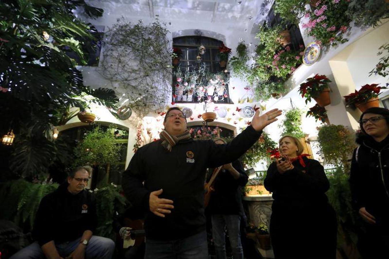 La primera ruta de los Patios de Córdoba en Navidad, en imágenes