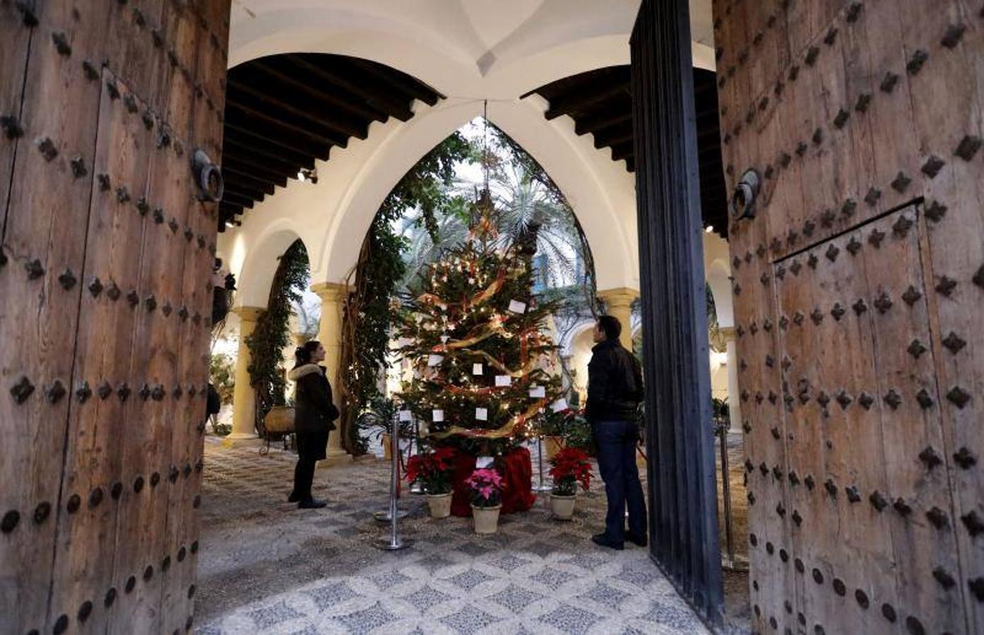 La primera ruta de los Patios de Córdoba en Navidad, en imágenes