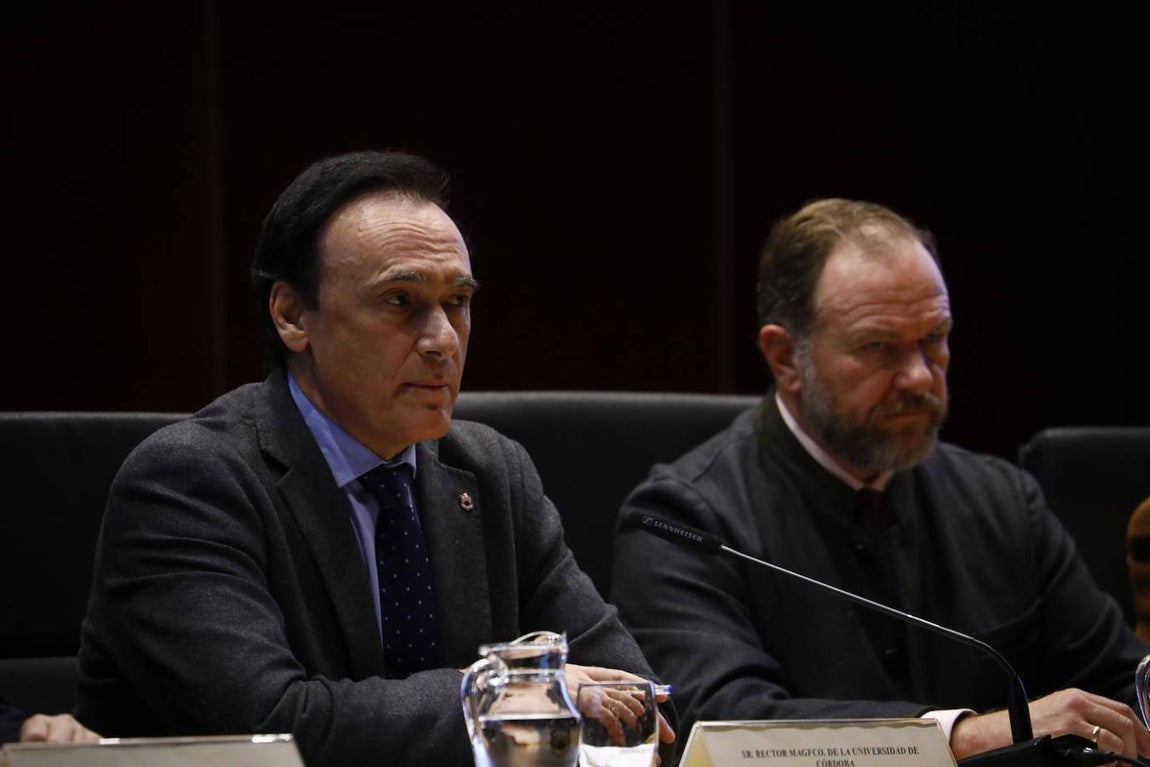 Los premios de la Fundación Caja Rural del Sur de Córdoba, en imágenes