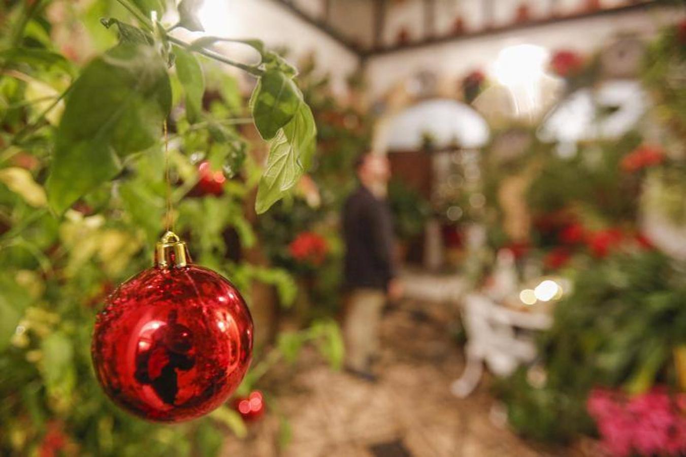 La segunda jornada de los Patios de Córdoba en Navidad, en imágenes