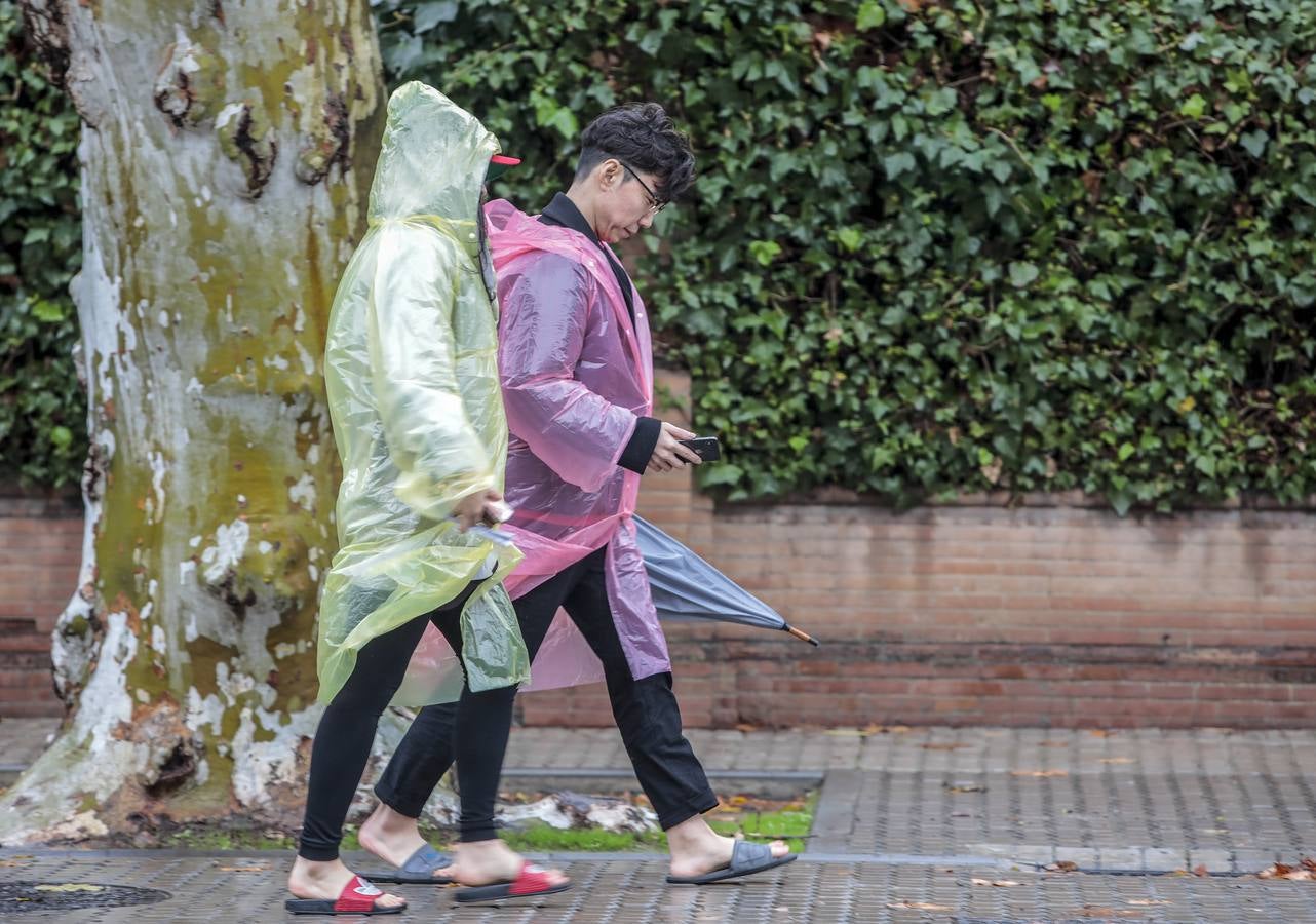 Las imágenes de Sevilla azotada por el temporal