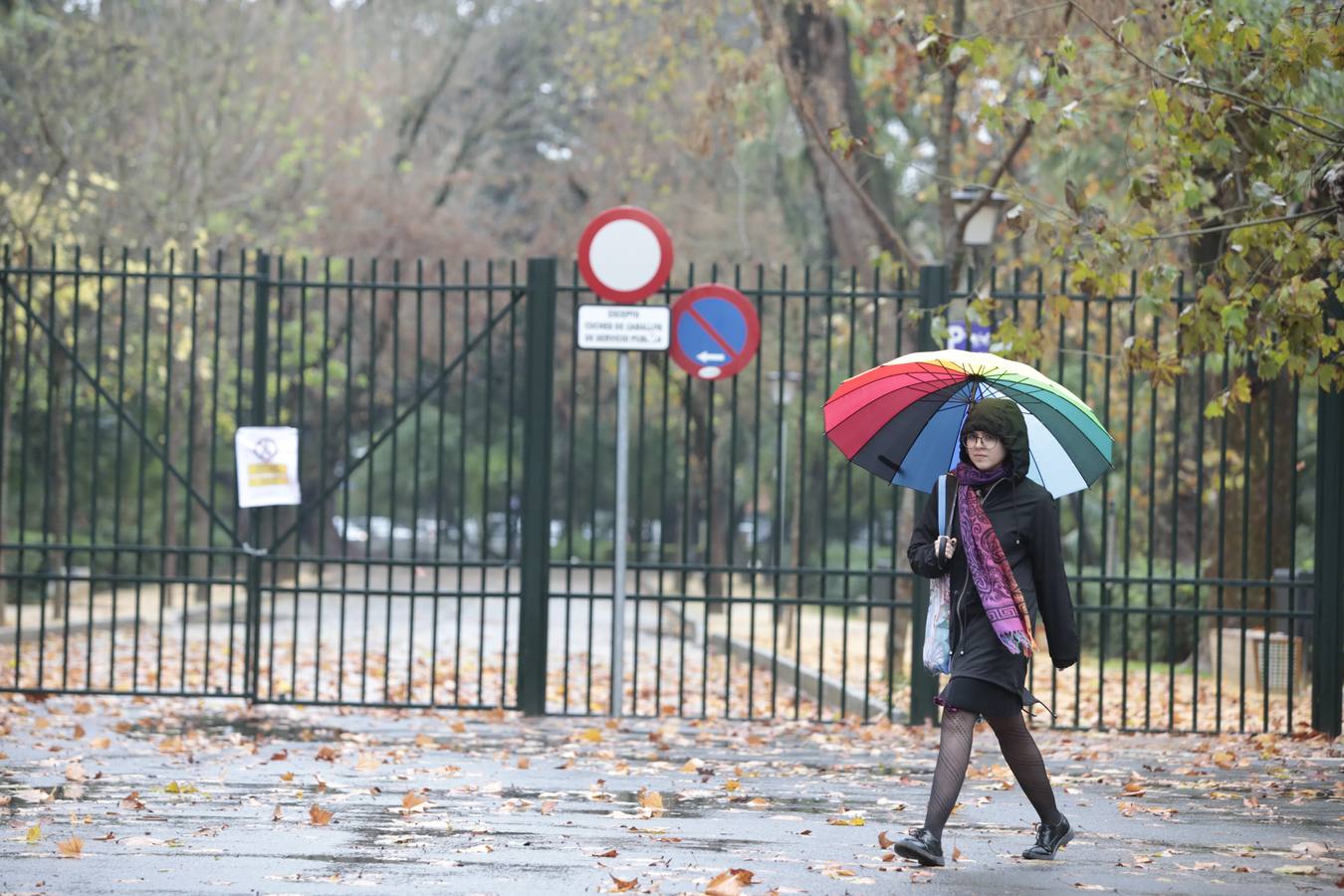 Las imágenes de Sevilla azotada por el temporal