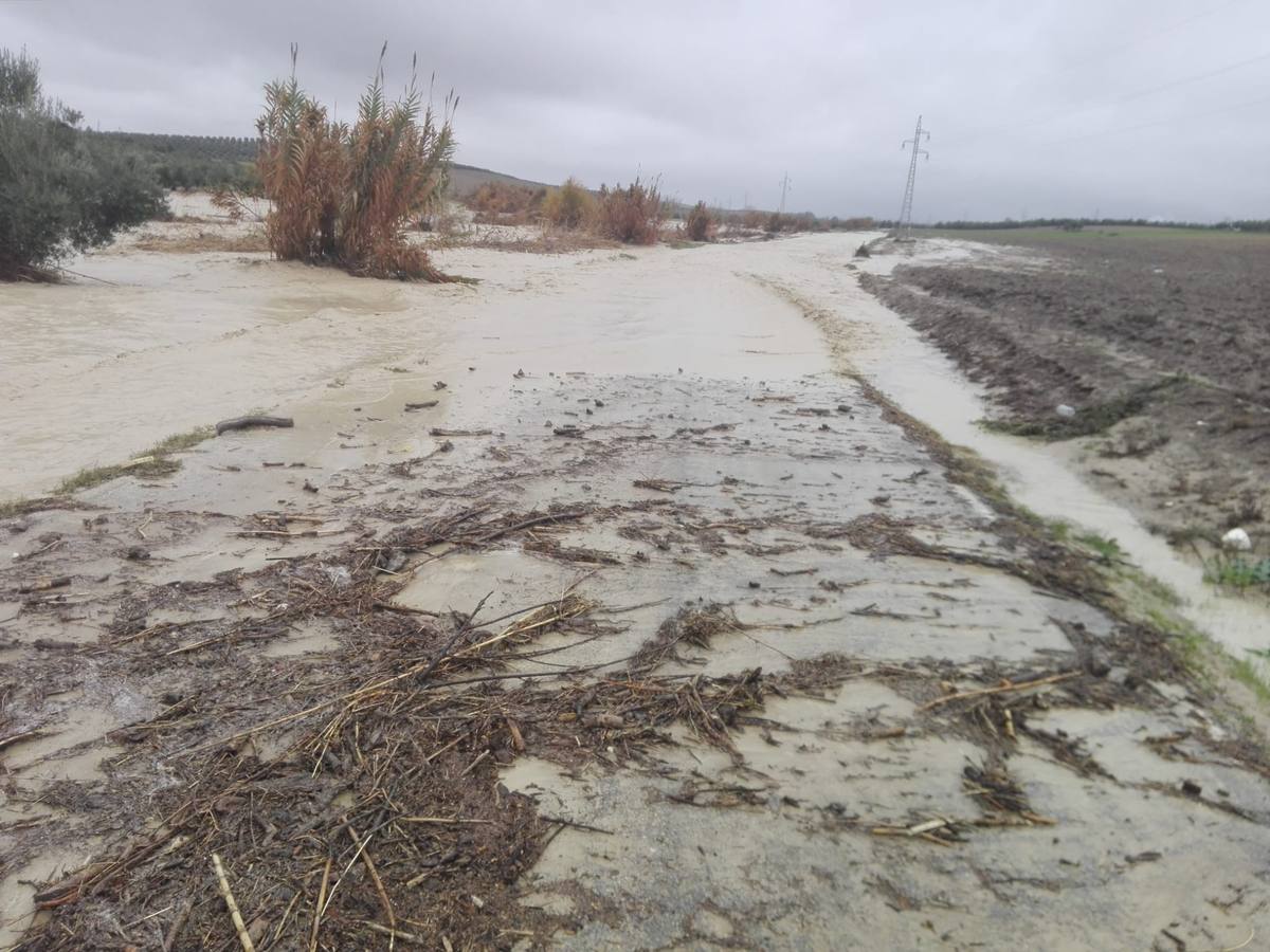 Las incidencias de la borrasca Elsa en Córdoba, en imágenes