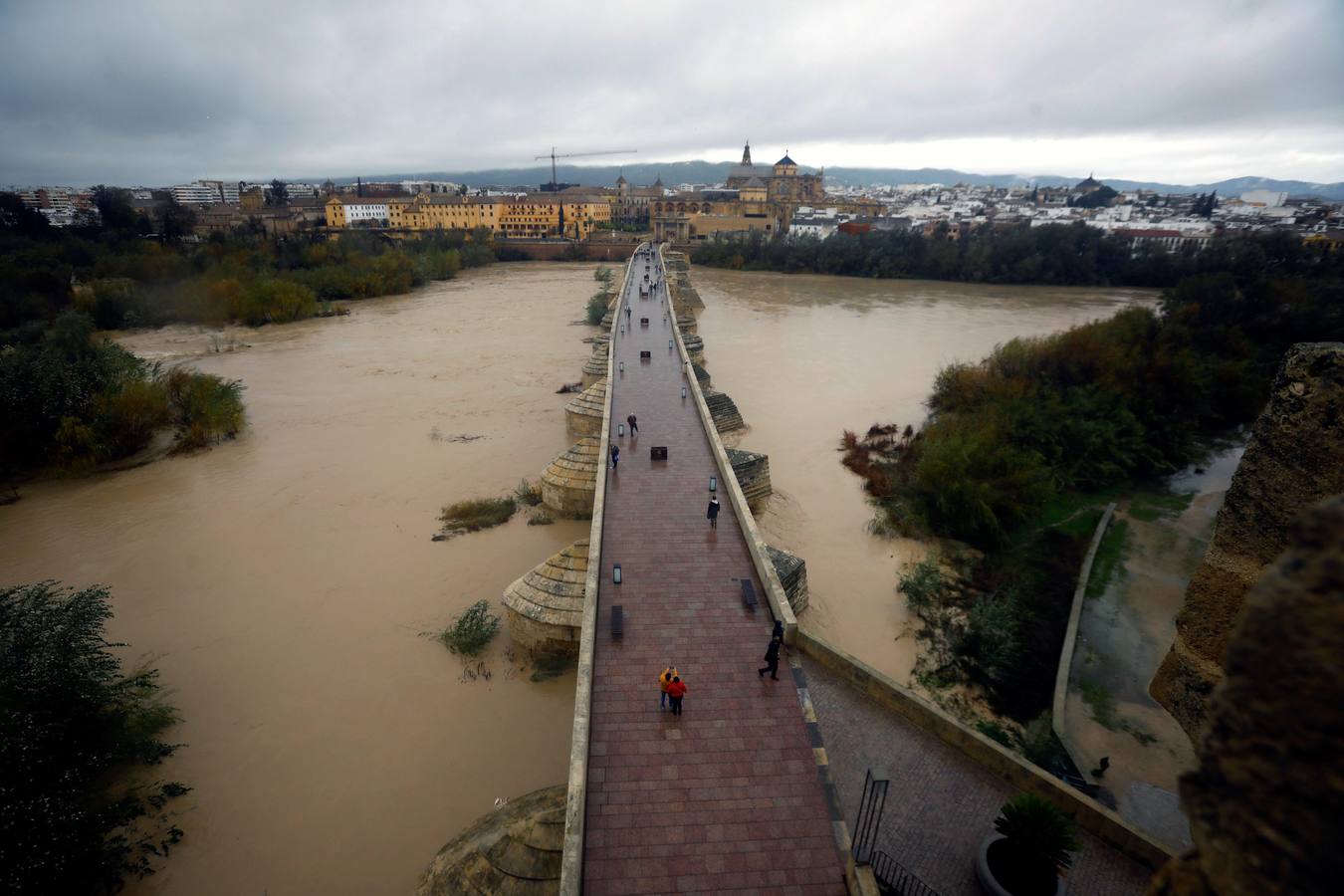 Las incidencias de la borrasca Elsa en Córdoba, en imágenes