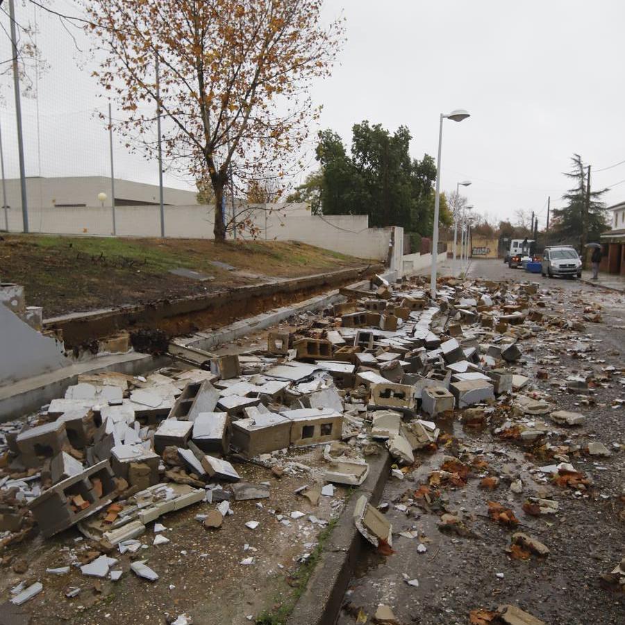 Las incidencias de la borrasca Elsa en Córdoba, en imágenes