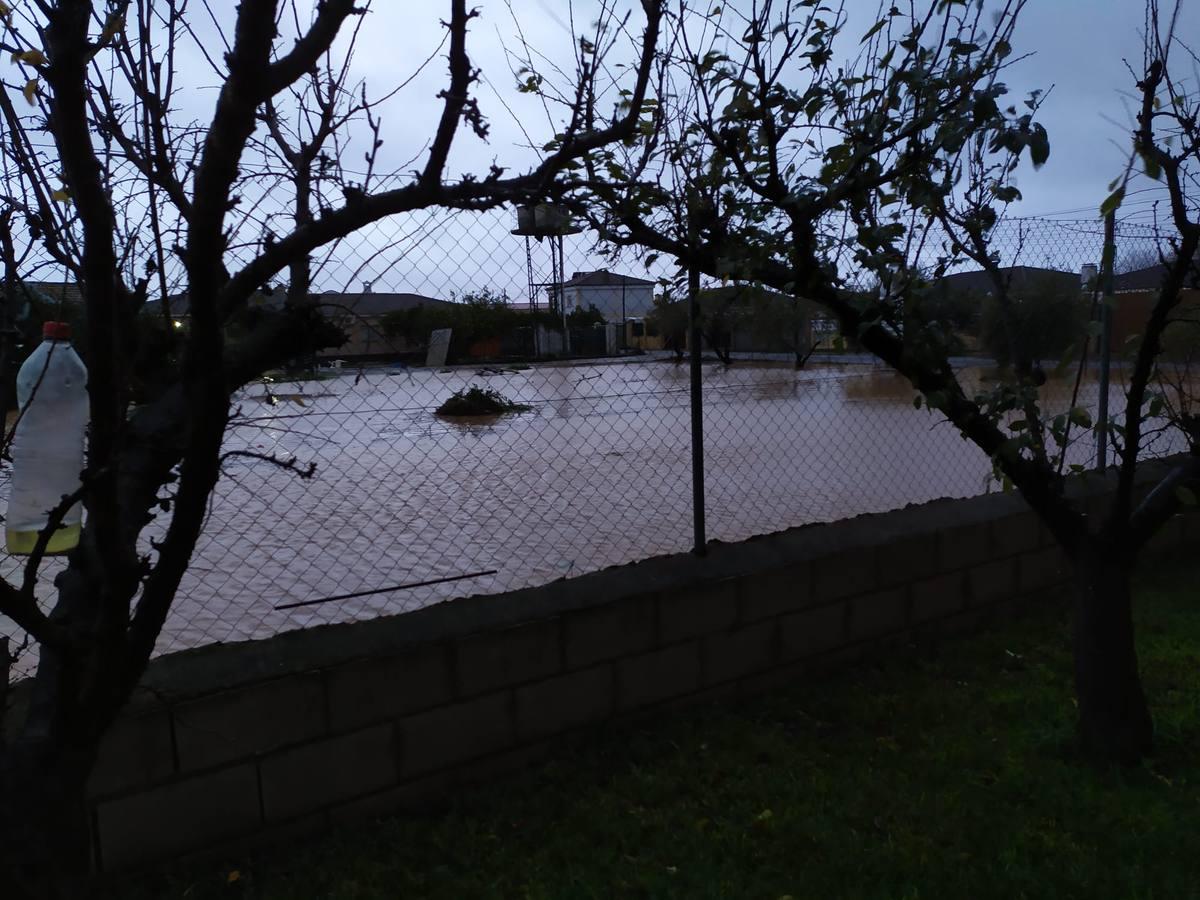 Las incidencias de la borrasca Elsa en Córdoba, en imágenes