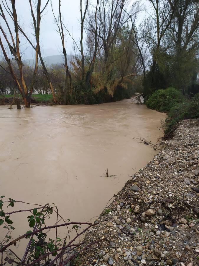 Las incidencias de la borrasca Elsa en Córdoba, en imágenes