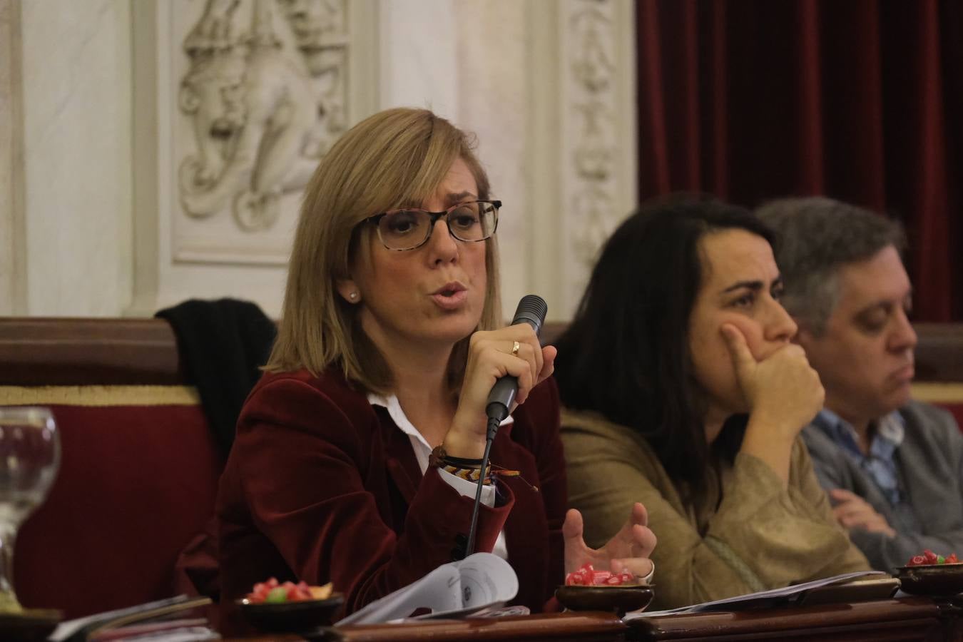 En imágenes: Último pleno de 2019 en Cádiz