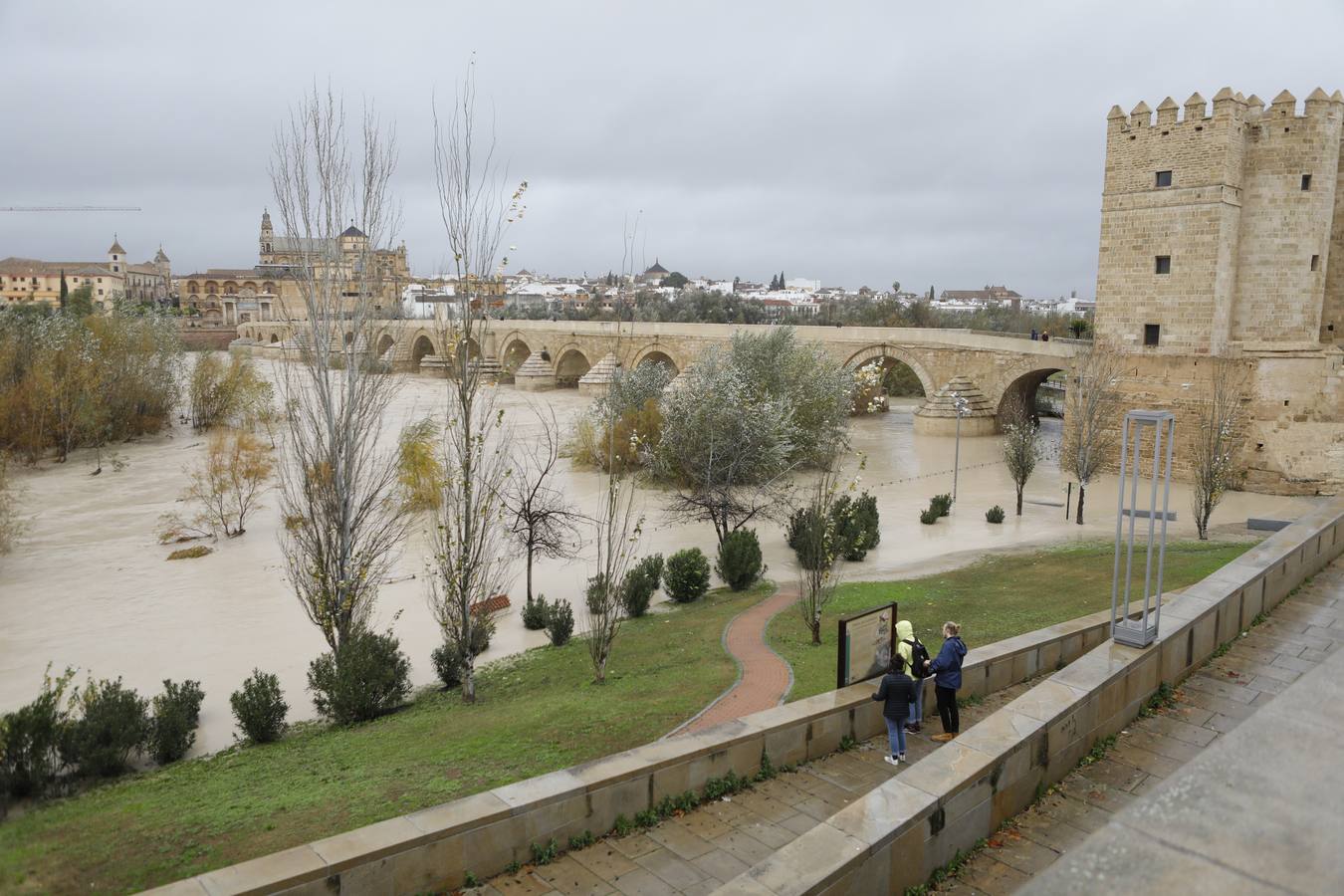 La crecida del Guadalquivir en Córdoba por la borrasca Elsa, en imágenes
