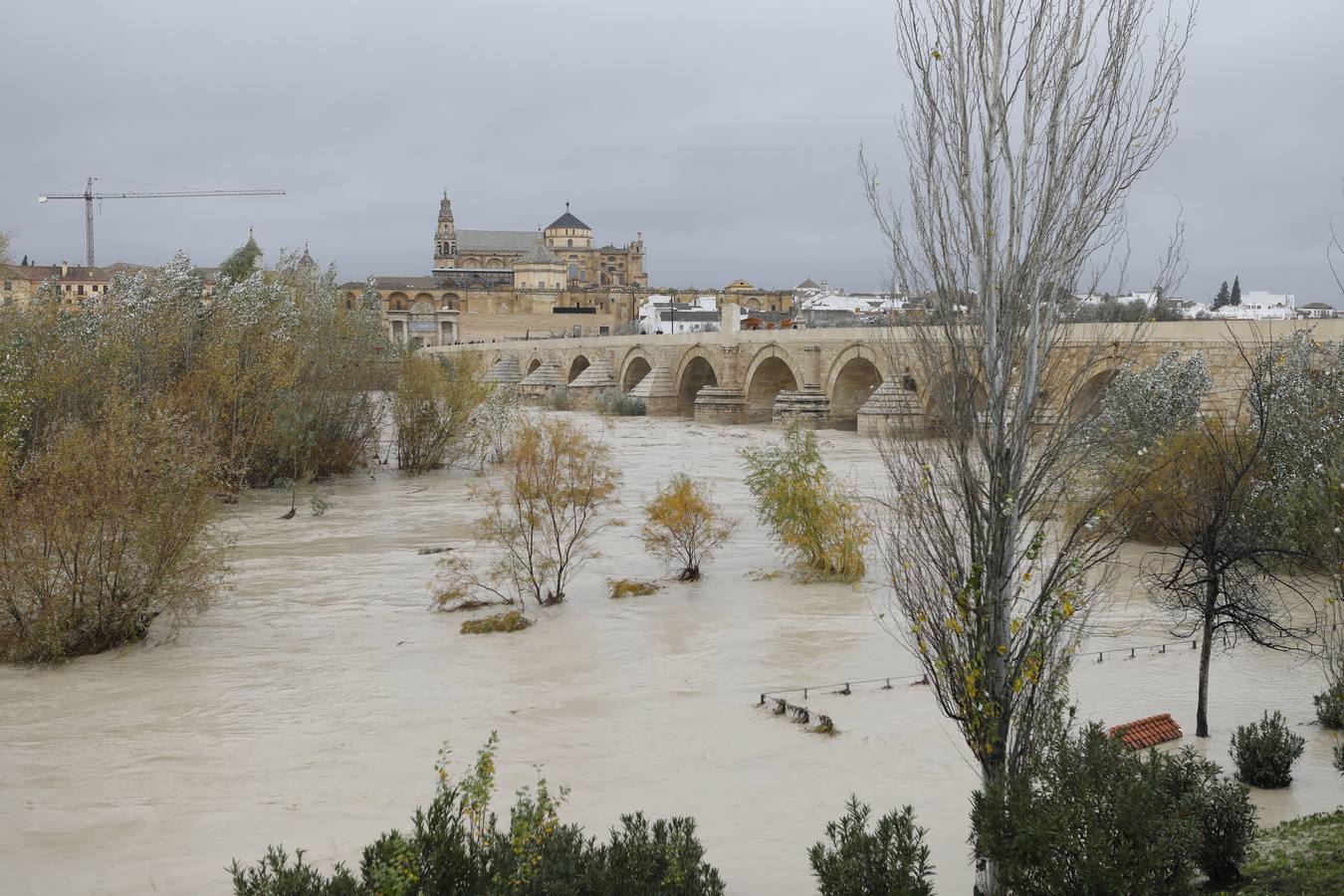 La crecida del Guadalquivir en Córdoba por la borrasca Elsa, en imágenes