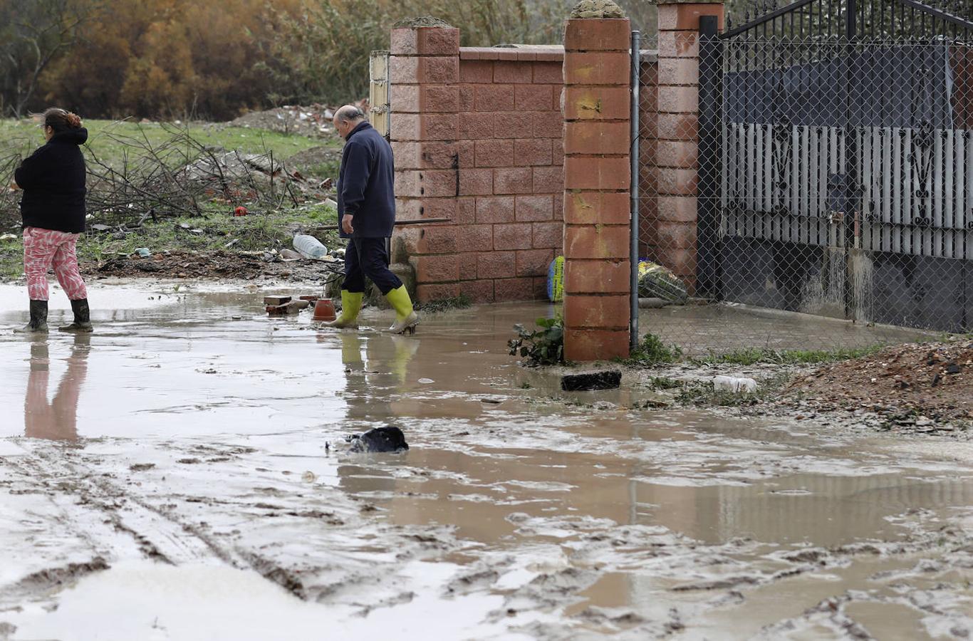 El paso de la borrasca Elsa por las parcelas del río en Córdoba, en imágenes