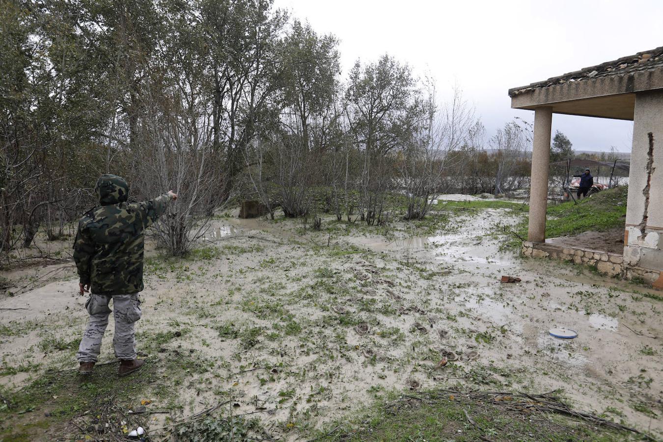 El paso de la borrasca Elsa por las parcelas del río en Córdoba, en imágenes