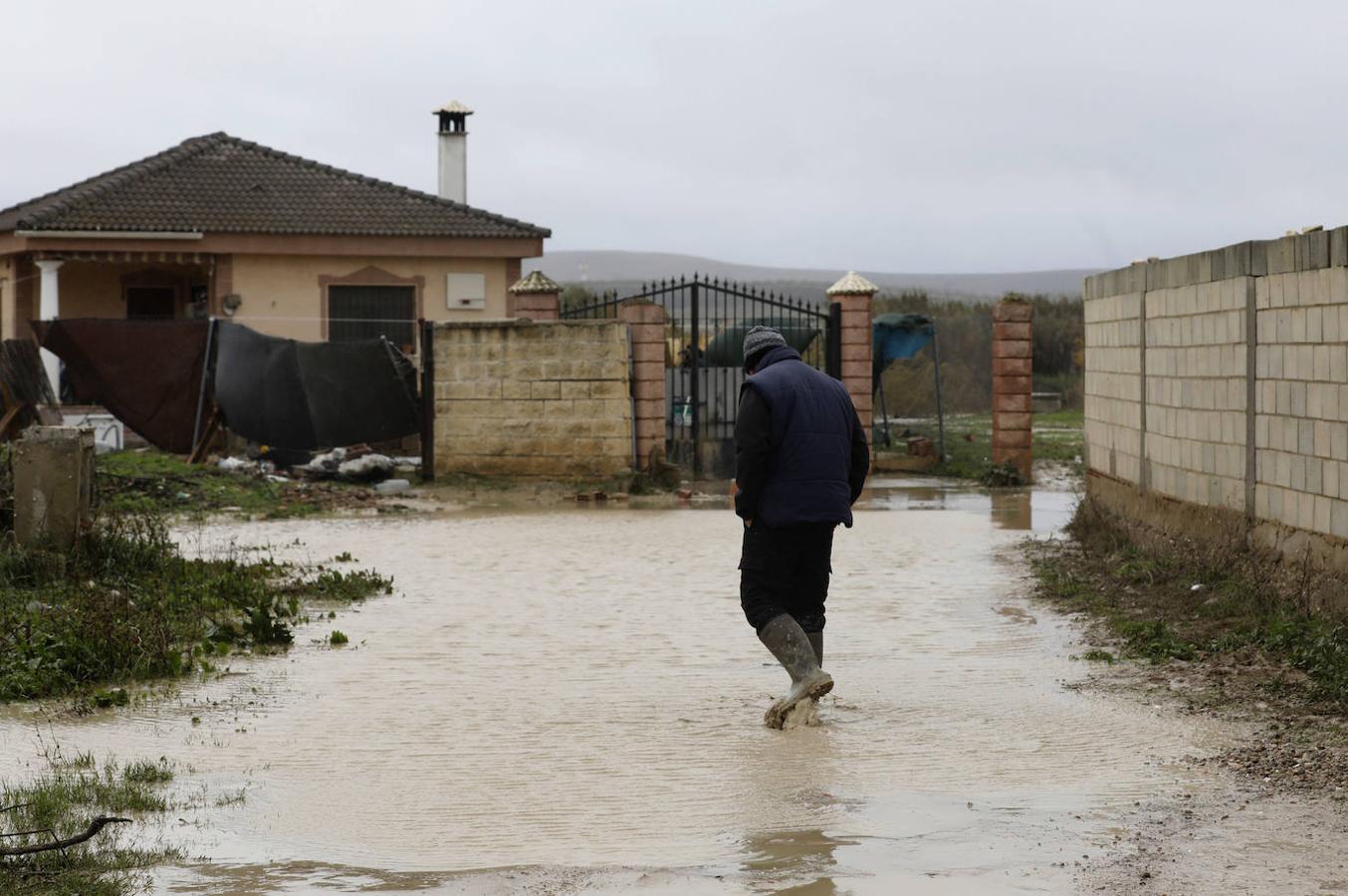 El paso de la borrasca Elsa por las parcelas del río en Córdoba, en imágenes