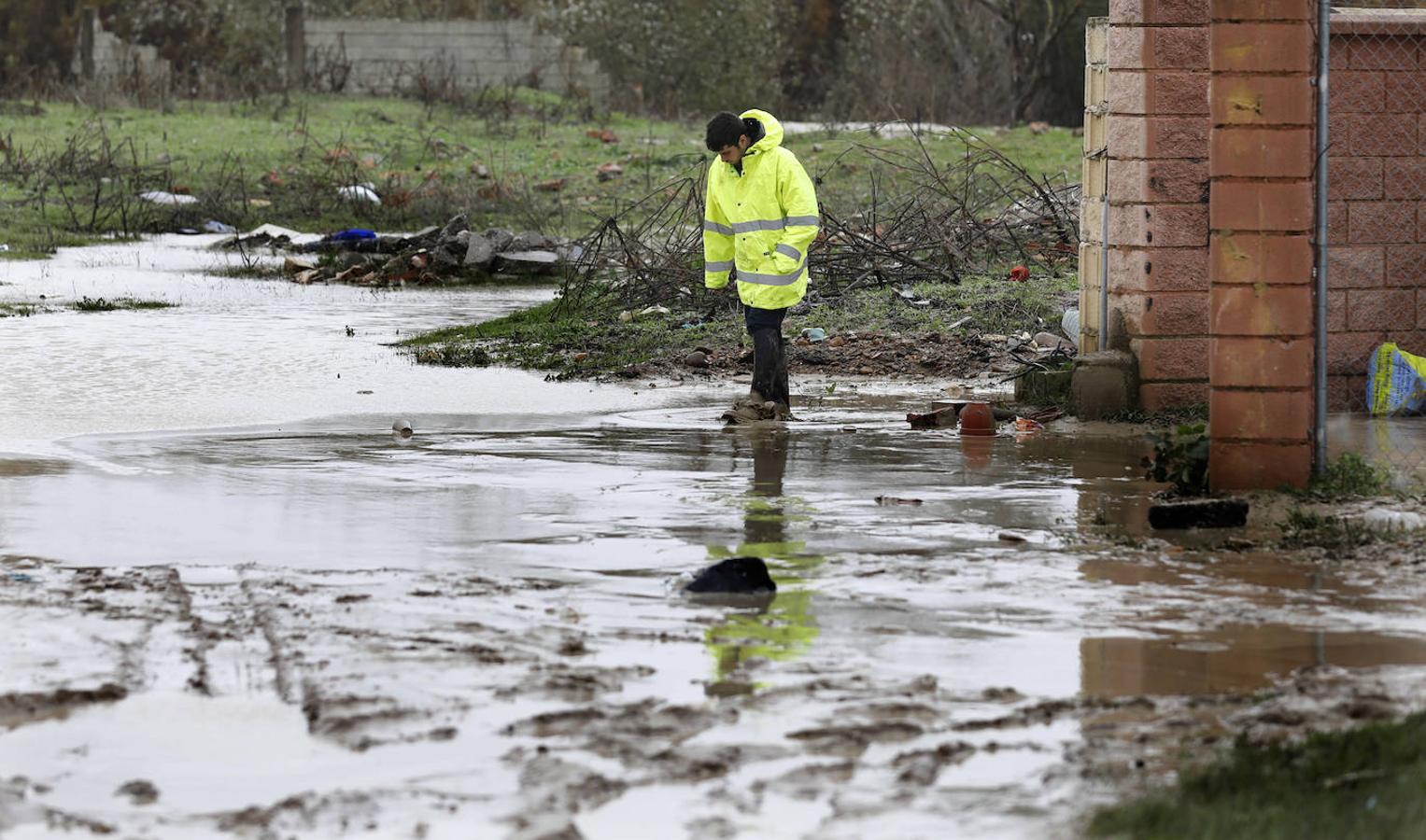 El paso de la borrasca Elsa por las parcelas del río en Córdoba, en imágenes